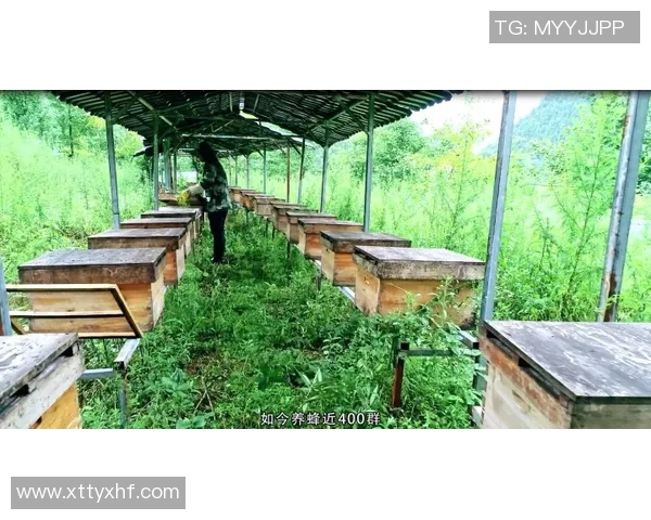 重庆网球队荣登全国网球技术排行榜第一名引发热议 重庆网球队荣登全国网球技术排行榜第一名引发热议