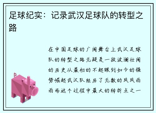 足球纪实：记录武汉足球队的转型之路